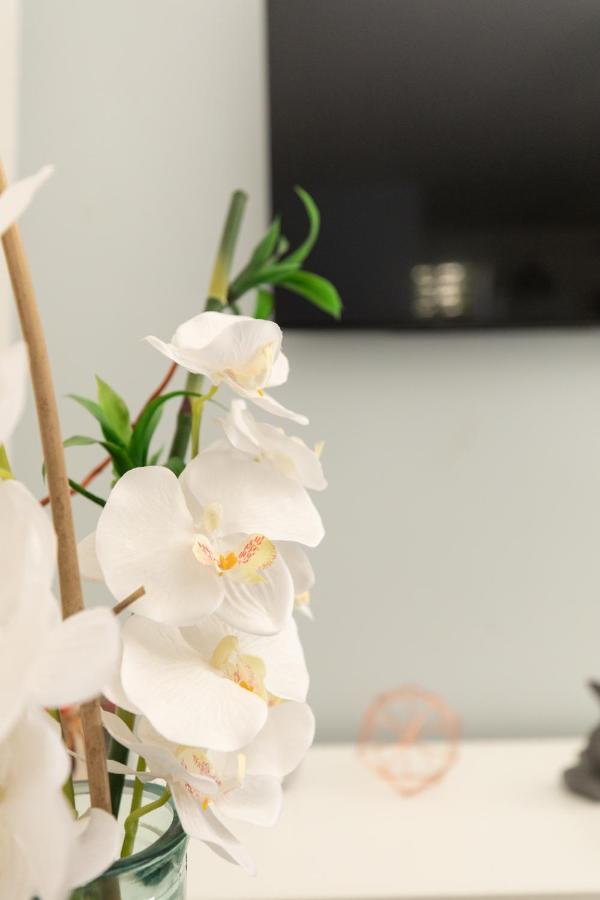 Charme Cosy Confort - Thermes Apartment วิชี ภายนอก รูปภาพ